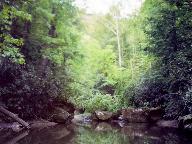 Upstream of Dog Fork